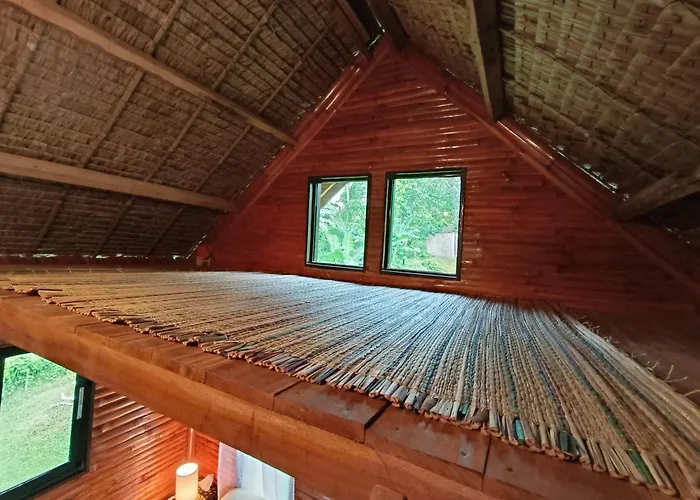 Small Cabin In The South
